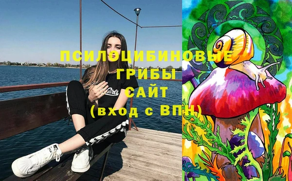 кокс Белокуриха