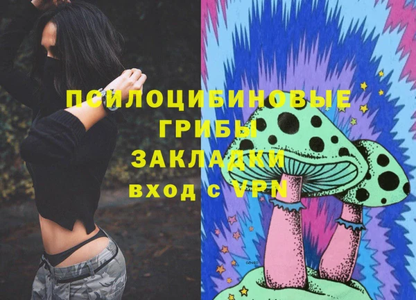 амф Белоозёрский