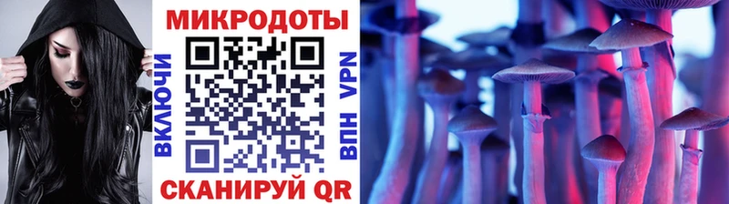 купить наркоту  Ефремов  Псилоцибиновые грибы мухоморы 